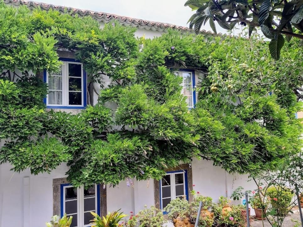 Vila Casa Do Sobral Óbidos Exteriér fotografie