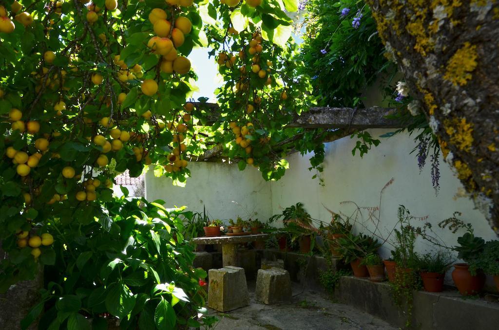 Vila Casa Do Sobral Óbidos Pokoj fotografie