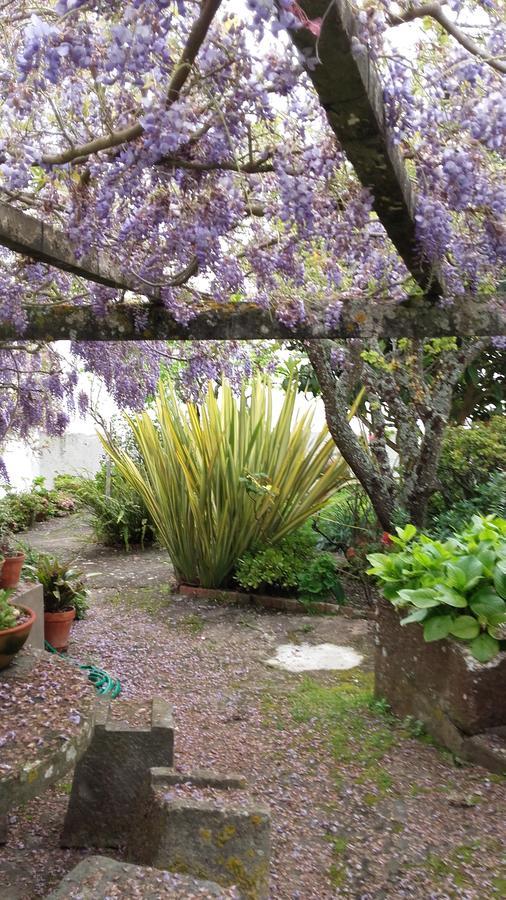 Vila Casa Do Sobral Óbidos Exteriér fotografie
